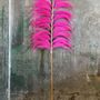 Decorative objects - The Stunning Leaf - Hot-Pink - Set of 6 - BAZAR BIZAR LIVING