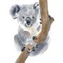 Poster - Eli The Koala - Frame kids watercolor illustration - LES AQUARELLES DE MARLENE