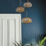 Hanging lights - Pebble suspension (3) - MOSS SERIES