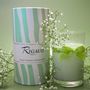 Gifts - Rigaud scented candle Large Jasmin de Printemps Rigaud - RIGAUD PARIS
