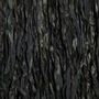 Objets de décoration - Used To Be Wild - Noir - BAZAR BIZAR LIVING