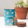 Gifts - Sowing kit\" Graines d'Amour\” made in France - MAUVAISES GRAINES