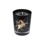 Decorative objects - Scented Candle: Lusitanian Fig Tree 180 g. - YLUSTRE
