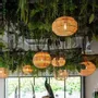 Hanging lights - Round raffia suspension - GLOBE - HYDILE
