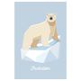 Birthdays - 6 eco-friendly Polar animals invitations with envelopes - ANNIKIDS
