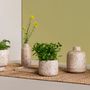 Vases - Wood pulp vases, hanging planters and flowerpots - KINTA
