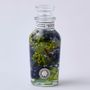 Floral decoration - Herbarium 2021 H (Blue green)/BALLOON - ABINGPLUS