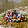 Jewelry - Acai Multicolor Seed Bracelet - HUAIRURO