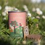 Decorative objects - Sowing kit\" Campagne\” - Daisy seeds - MAUVAISES GRAINES