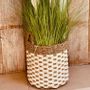Caskets and boxes - Seagrass PO4 Decorative Basket (Bali) - M - BALINAISA