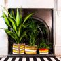 Pots de fleurs - British Colour Standard © - Recycled, Striped Plant Pot Covers - BRITISH COLOUR STANDARD©