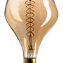 Lightbulbs for indoor lighting - LED Globe Light Bulb - SEEREP