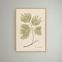 Cadres - Wall decoration. The Best of Nature/Lush and Green - ABLO BLOMMAERT
