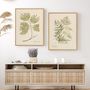Cadres - Wall decoration. The Best of Nature/Lush and Green - ABLO BLOMMAERT