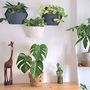 Floral decoration - Self-Watering Wall Planters Made with Reused Fabrics - CITYSENS