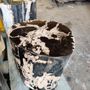 Stools - Petrified wood stool - WILD-HERITAGE.COM