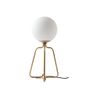 Table lamps - Table lamp golden steel and white glass - ANGEL CERDÁ
