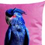 Fabric cushions - Punky Parrot Pillow - ARTPILO