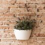 Vases - Wall Planters - CITYSENS