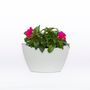 Vases - Wall Planters - CITYSENS