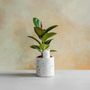 Design objects - Plant Waterer / Nuke - DONKEY PRODUCTS