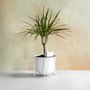 Design objects - Plant Waterer / Factory - DONKEY PRODUCTS