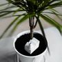 Design objects - Plant Waterer / Factory - DONKEY PRODUCTS