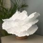 Lampes à poser - Luminaire Lampe à poser Florelle - AND CREATION