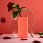 Parfums d'intérieur - Coffret de 25 encens Flamingo : Rose - Racine d'Iris - Rhubarbe - BLOOM FRANCE