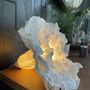 Table lamps - Fiore table lamp - AND CREATION
