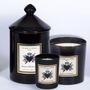 Gifts - ROMEO and JULIETTE - 3 STRANDS XL - 100% VEGETABLE SCENTED CANDLE - UN SOIR A L'OPERA