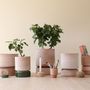 Poterie - La collection Hoff — SILHOUETTES SCANDINAVES - BERGS POTTER