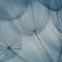 Tapestries - Dandelion blue Panoramic Wallpaper - ACTE-DECO