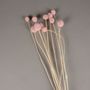 Floral decoration - Craspedia preserved pale pink H55cm - LE COMPTOIR.COM