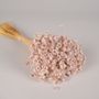 Floral decoration - Glixia dried powdery pink H43cm - LE COMPTOIR.COM