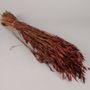 Floral decoration - Mahogany dried oats H70cm - LE COMPTOIR.COM