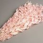 Floral decoration - Preserved pink ruscus H75cm - LE COMPTOIR.COM