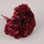 Floral decoration - Preserved raspberry hydrangea H36cm - LE COMPTOIR.COM