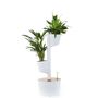 Vases - Self-watering 2 Planters Indoor Vertical Planter - CITYSENS