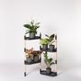Shelves - 4-tray plant shef - CITYSENS