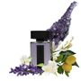 Gifts - AMETHYST Display Console Pack - MURIEL UGHETTO