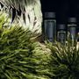 Parfums d'intérieur - JADE Brume de Parfum d’Intérieur 200 ml - MURIEL UGHETTO