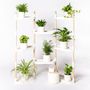 Shelves - CitySens Self-watering 8-tray plant shelves - CITYSENS