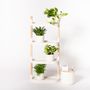 Autres objets connectés  - Étagère pour plantes à 4 plateaux et arrosage automatique - CITYSENS