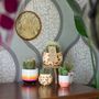 Objets de décoration - Cactus & succulent, ceramique BOHO assortie - small - PLANTOPHILE
