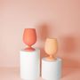 Crockery - Terra + Peach | Stemm |Silicone Unbreakable Wine Glasses - PORTER GREEN