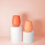 Crockery - Terra + Peach | Fegg | Silicone Unbreakable Glasses - PORTER GREEN