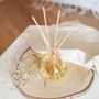 Candles - Natural Scents - The traditional - candles and reed diffusers. - LES LUMIERES DU TEMPS
