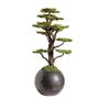 Decorative objects - Mira Bonsai - 9 - Handmade decorative artificial bonsai - OMNIA CONCEPT
