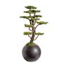 Objets de décoration - Mira Bonsai - 9 - Bonsaï artificiel décoratif fait main - OMNIA CONCEPT